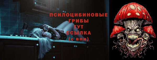 гидропоника Богданович
