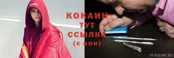 ALPHA-PVP Богородицк