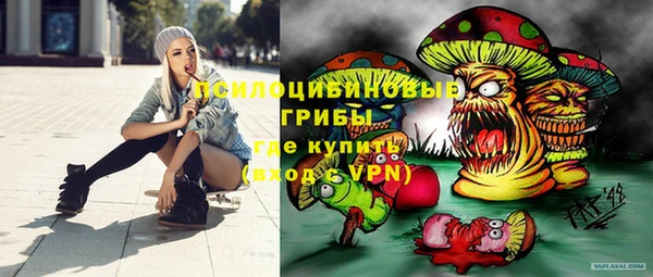 гидропоника Богданович